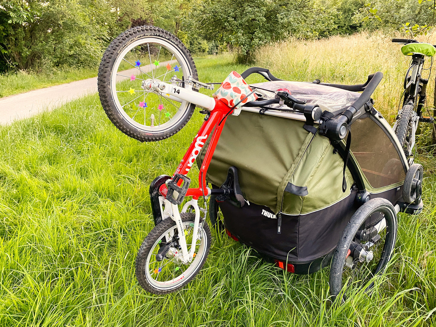 thule fahrradanhänger anbringen Thule Chariot Fahrradträger Universal Fahrrad / Laufrad Halter & Adapt – ToolsToSimplify